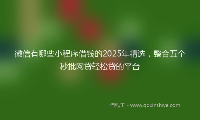 微信有哪些小程序借钱的2025年精选，整合五个秒批网贷轻松贷的平台