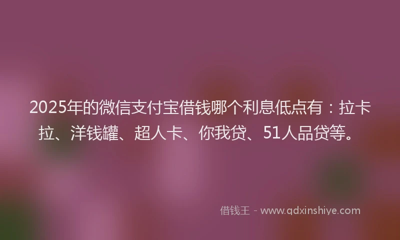 2025年的微信支付宝借钱哪个利息低点有：拉卡拉、洋钱罐、超人卡、你我贷、51人品贷等。