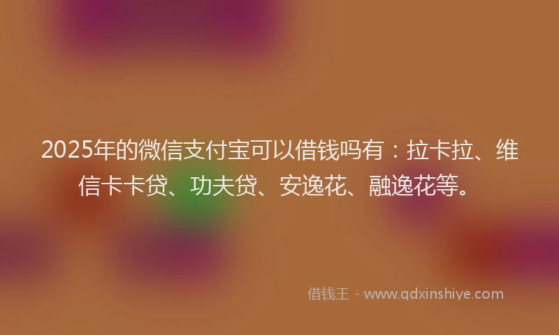 2025年的微信支付宝可以借钱吗有：拉卡拉、维信卡卡贷、功夫贷、安逸花、融逸花等。