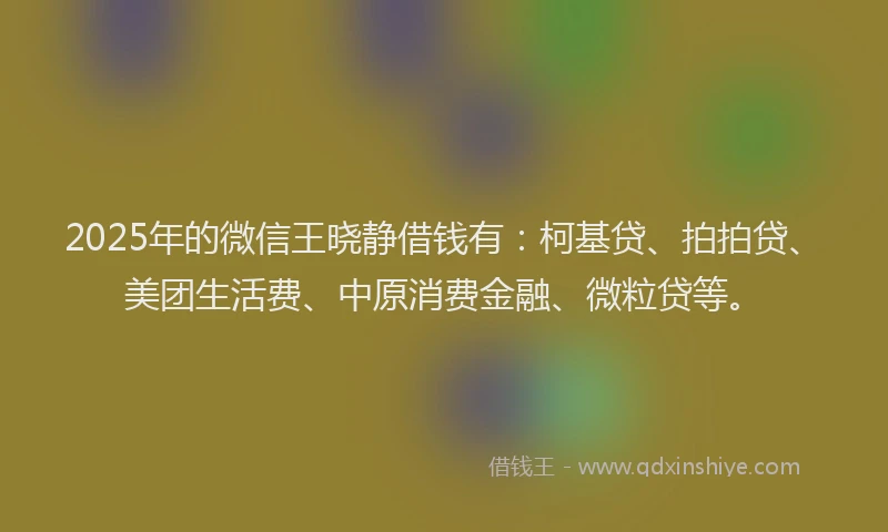 2025年的微信王晓静借钱有：柯基贷、拍拍贷、美团生活费、中原消费金融、微粒贷等。