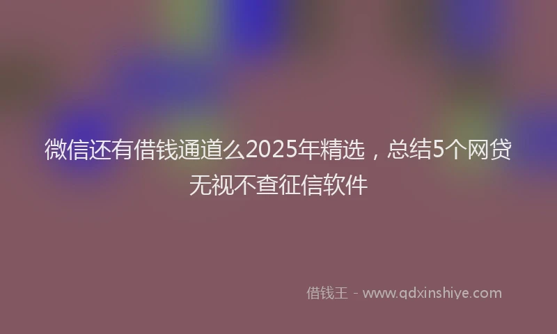 微信还有借钱通道么2025年精选，总结5个网贷无视不查征信软件