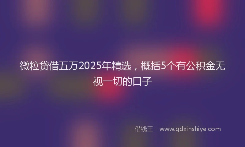 微粒贷借五万2025年精选，概括5个有公积金无视一切的口子