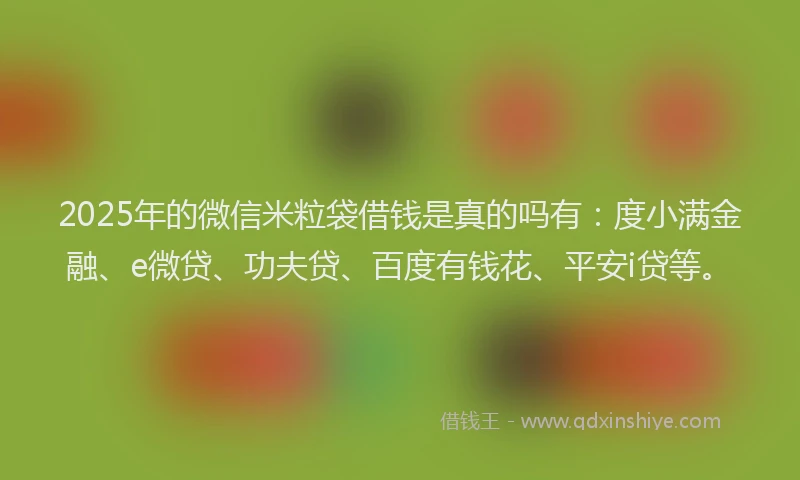 2025年的微信米粒袋借钱是真的吗有：度小满金融、e微贷、功夫贷、百度有钱花、平安i贷等。