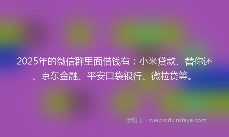 2025年的微信群里面借钱有：小米贷款、替你还、京东金融、平安口袋银行、微粒贷等。