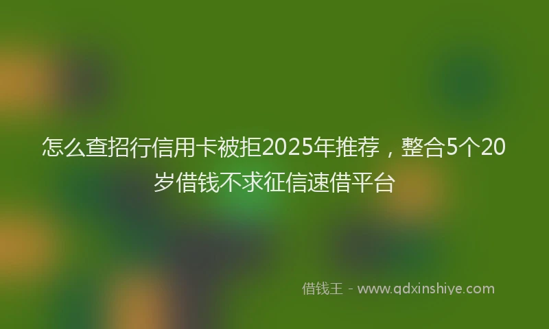 怎么查招行信用卡被拒2025年推荐，整合5个20岁借钱不求征信速借平台