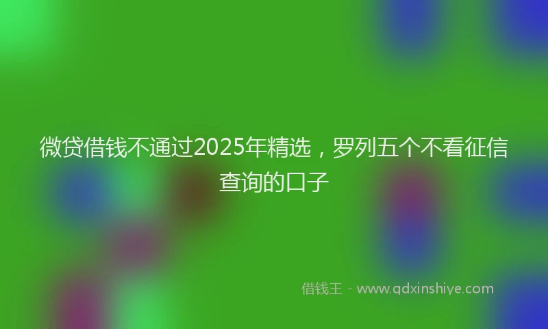 微贷借钱不通过2025年精选，罗列五个不看征信查询的口子