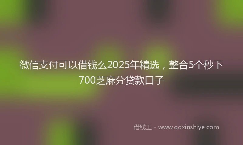 微信支付可以借钱么2025年精选，整合5个秒下700芝麻分贷款口子