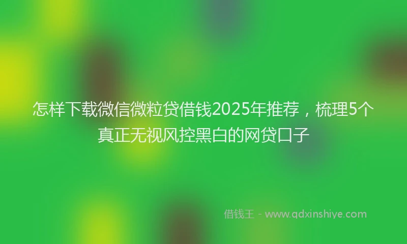怎样下载微信微粒贷借钱2025年推荐，梳理5个真正无视风控黑白的网贷口子