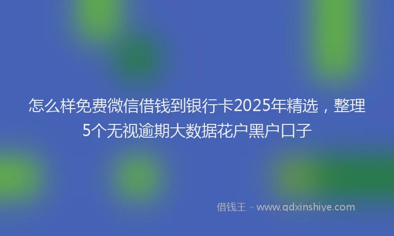 怎么样免费微信借钱到银行卡2025年精选，整理5个无视逾期大数据花户黑户口子