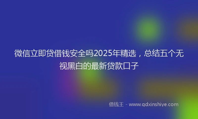 微信立即贷借钱安全吗2025年精选，总结五个无视黑白的最新贷款口子