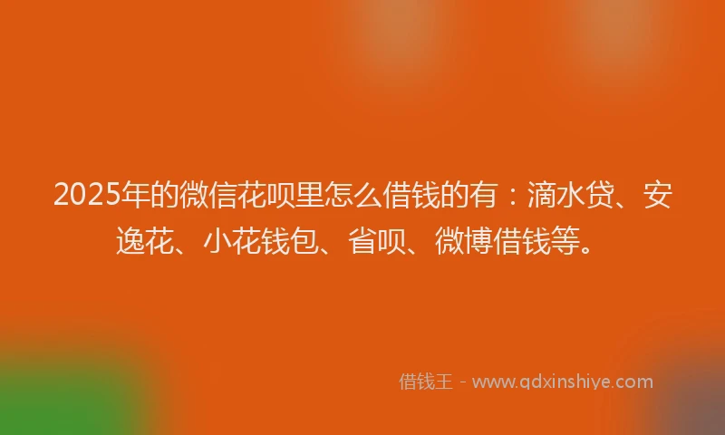 2025年的微信花呗里怎么借钱的有：滴水贷、安逸花、小花钱包、省呗、微博借钱等。