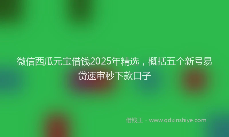 微信西瓜元宝借钱2025年精选，概括五个新号易贷速审秒下款口子