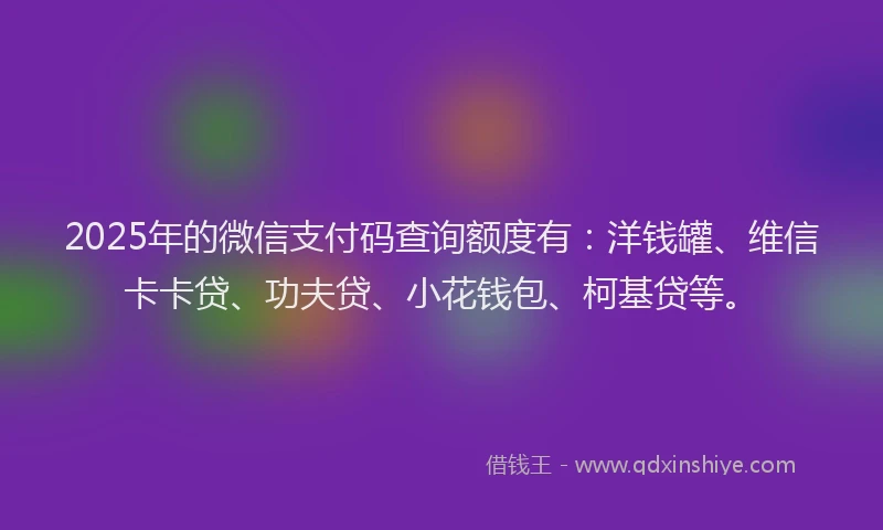 2025年的微信支付码查询额度有：洋钱罐、维信卡卡贷、功夫贷、小花钱包、柯基贷等。