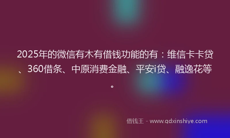 2025年的微信有木有借钱功能的有：维信卡卡贷、360借条、中原消费金融、平安i贷、融逸花等。