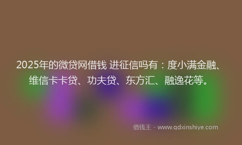 2025年的微贷网借钱 进征信吗有：度小满金融、维信卡卡贷、功夫贷、东方汇、融逸花等。