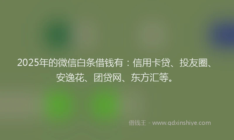 2025年的微信白条借钱有：信用卡贷、投友圈、安逸花、团贷网、东方汇等。