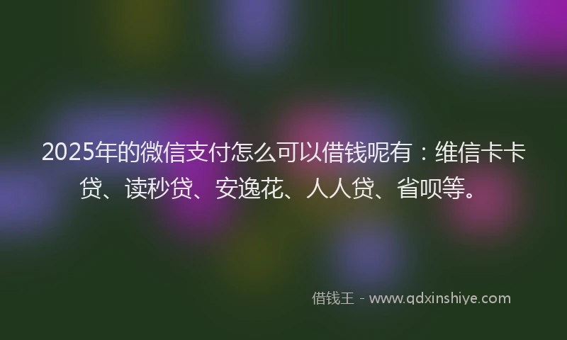 2025年的微信支付怎么可以借钱呢有：维信卡卡贷、读秒贷、安逸花、人人贷、省呗等。