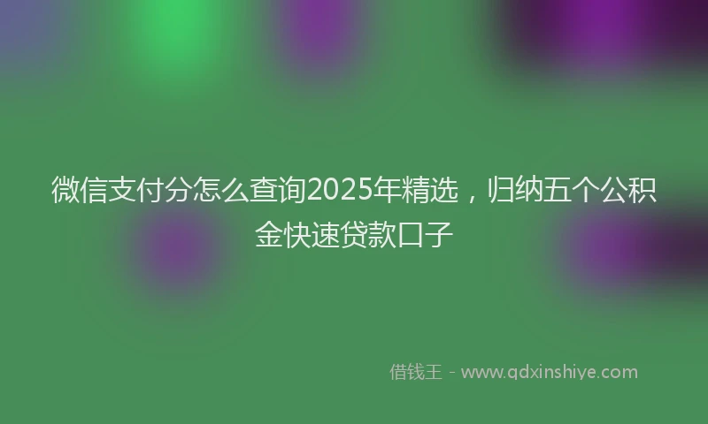 微信支付分怎么查询2025年精选，归纳五个公积金快速贷款口子