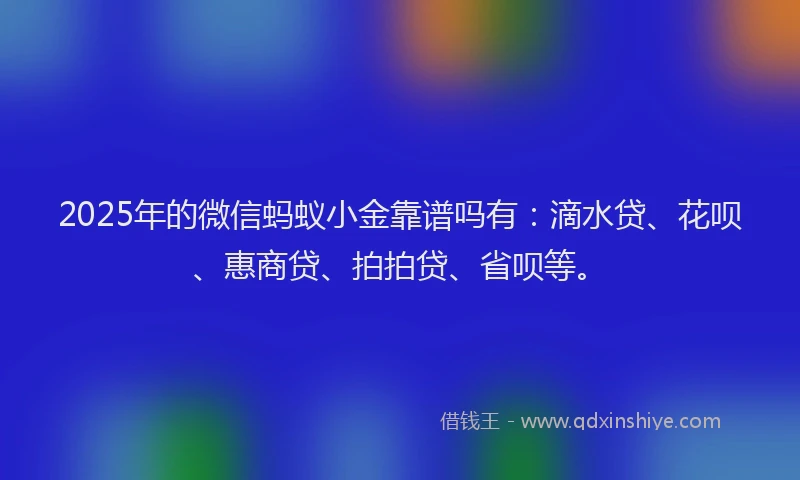 2025年的微信蚂蚁小金靠谱吗有：滴水贷、花呗、惠商贷、拍拍贷、省呗等。