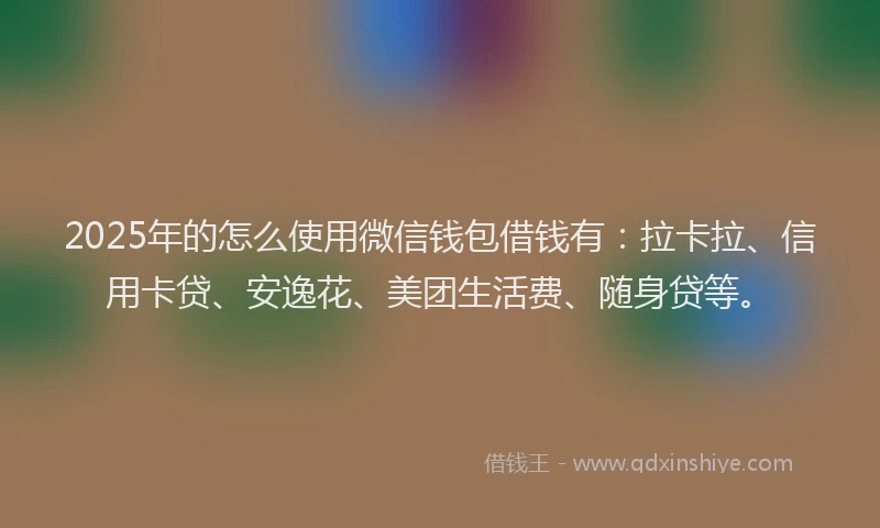 2025年的怎么使用微信钱包借钱有：拉卡拉、信用卡贷、安逸花、美团生活费、随身贷等。