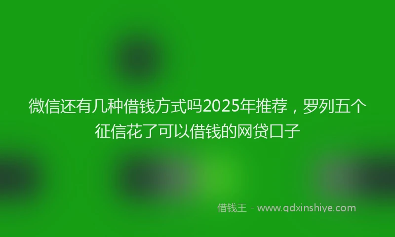 微信还有几种借钱方式吗2025年推荐，罗列五个征信花了可以借钱的网贷口子