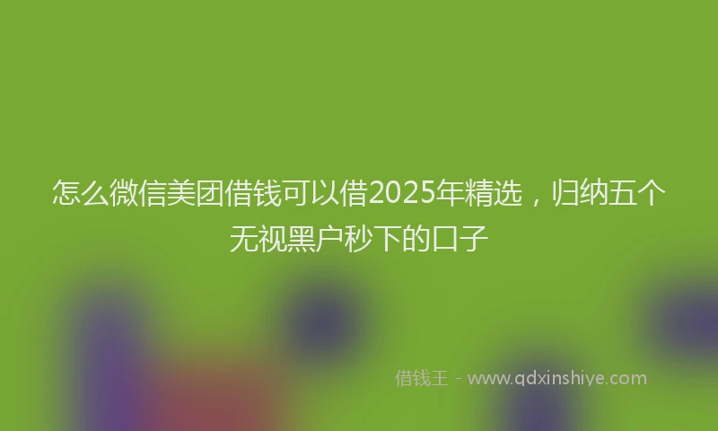 怎么微信美团借钱可以借2025年精选，归纳五个无视黑户秒下的口子