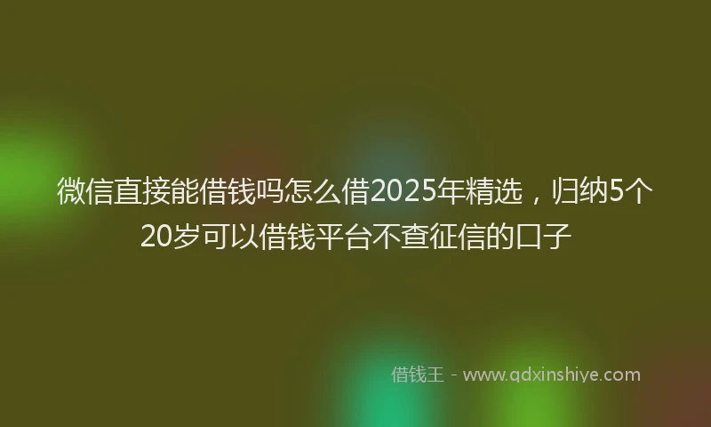 微信直接能借钱吗怎么借2025年精选，归纳5个20岁可以借钱平台不查征信的口子