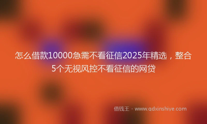 怎么借款10000急需不看征信2025年精选，整合5个无视风控不看征信的网贷