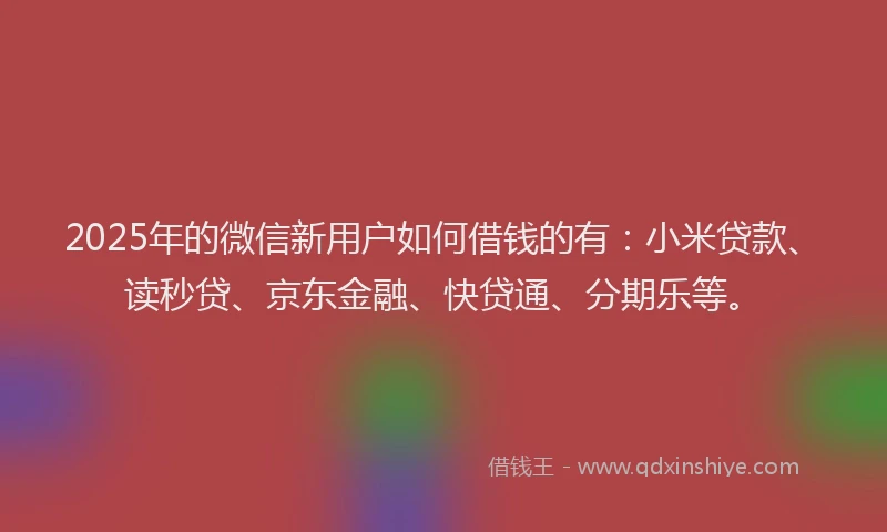 2025年的微信新用户如何借钱的有：小米贷款、读秒贷、京东金融、快贷通、分期乐等。