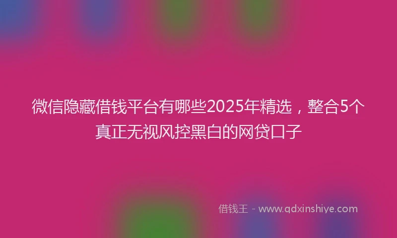 微信隐藏借钱平台有哪些2025年精选，整合5个真正无视风控黑白的网贷口子