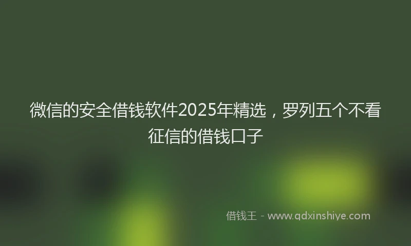 微信的安全借钱软件2025年精选，罗列五个不看征信的借钱口子