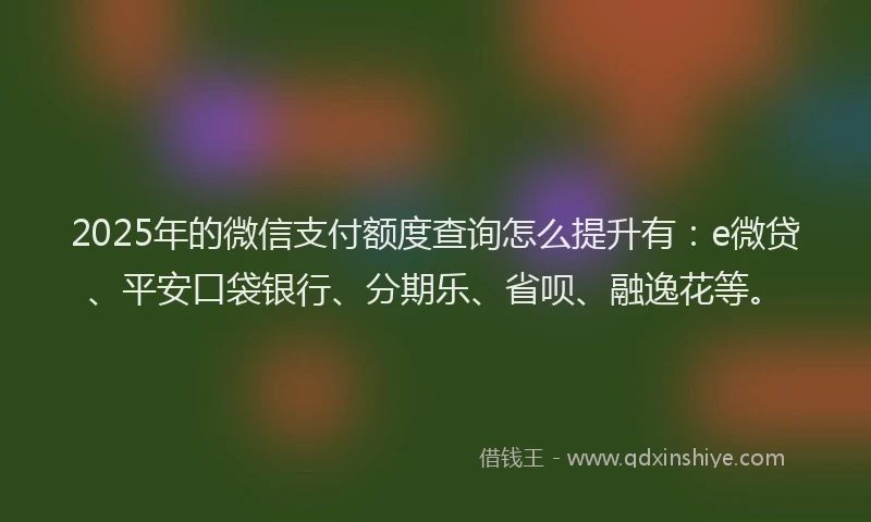 2025年的微信支付额度查询怎么提升有：e微贷、平安口袋银行、分期乐、省呗、融逸花等。