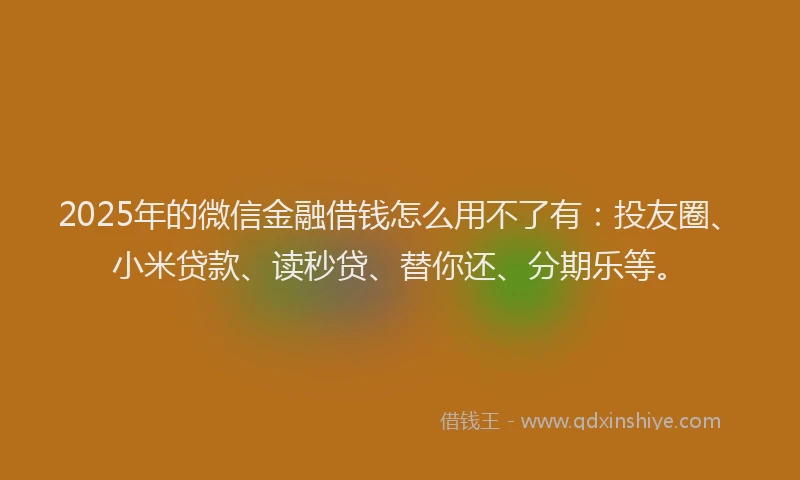 2025年的微信金融借钱怎么用不了有：投友圈、小米贷款、读秒贷、替你还、分期乐等。