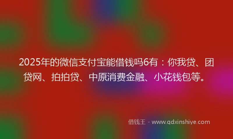 2025年的微信支付宝能借钱吗6有：你我贷、团贷网、拍拍贷、中原消费金融、小花钱包等。