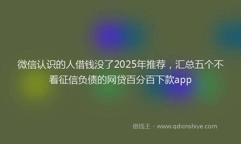 微信认识的人借钱没了2025年推荐，汇总五个不看征信负债的网贷百分百下款app
