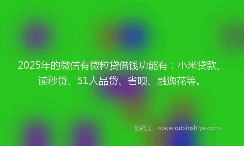 2025年的微信有微粒贷借钱功能有：小米贷款、读秒贷、51人品贷、省呗、融逸花等。
