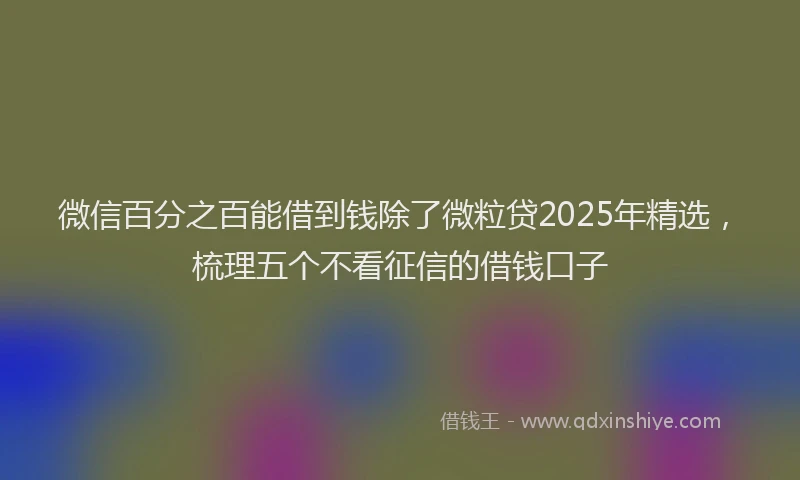 微信百分之百能借到钱除了微粒贷2025年精选，梳理五个不看征信的借钱口子