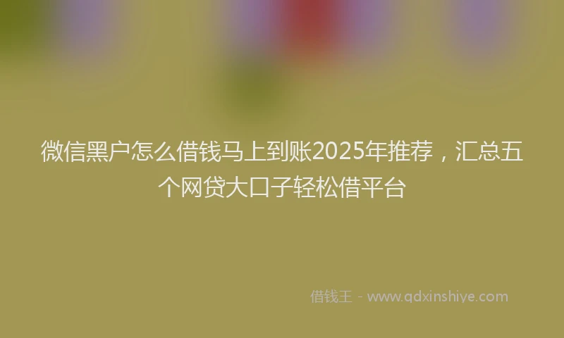 微信黑户怎么借钱马上到账2025年推荐，汇总五个网贷大口子轻松借平台