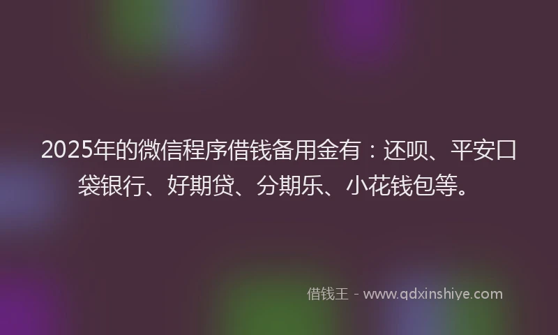 2025年的微信程序借钱备用金有：还呗、平安口袋银行、好期贷、分期乐、小花钱包等。