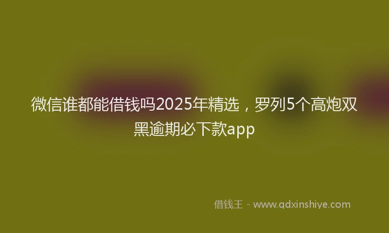 微信谁都能借钱吗2025年精选，罗列5个高炮双黑逾期必下款app