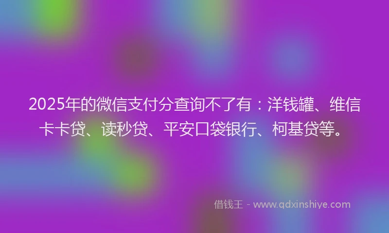 2025年的微信支付分查询不了有：洋钱罐、维信卡卡贷、读秒贷、平安口袋银行、柯基贷等。