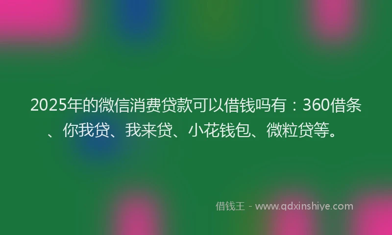 2025年的微信消费贷款可以借钱吗有：360借条、你我贷、我来贷、小花钱包、微粒贷等。