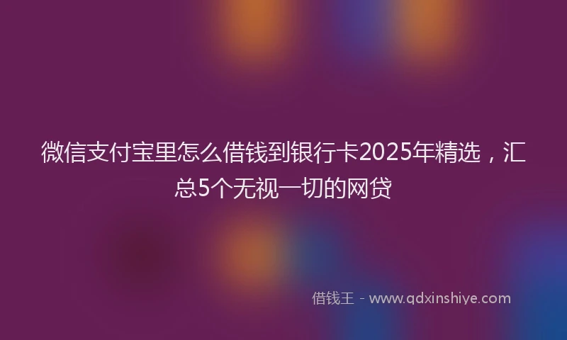 微信支付宝里怎么借钱到银行卡2025年精选，汇总5个无视一切的网贷