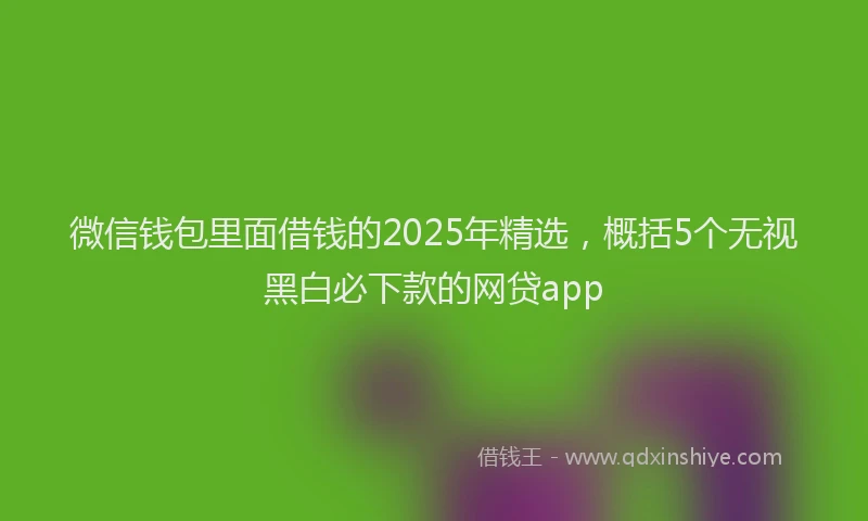 微信钱包里面借钱的2025年精选，概括5个无视黑白必下款的网贷app