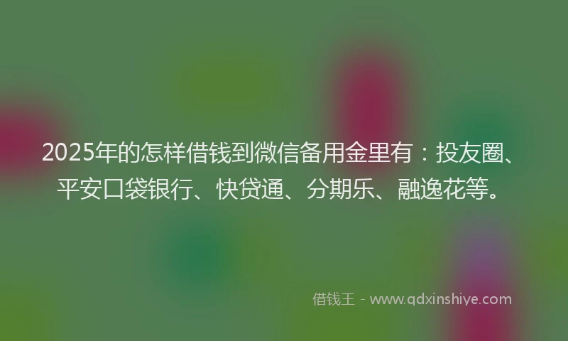 2025年的怎样借钱到微信备用金里有：投友圈、平安口袋银行、快贷通、分期乐、融逸花等。