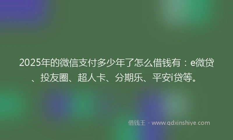 2025年的微信支付多少年了怎么借钱有：e微贷、投友圈、超人卡、分期乐、平安i贷等。