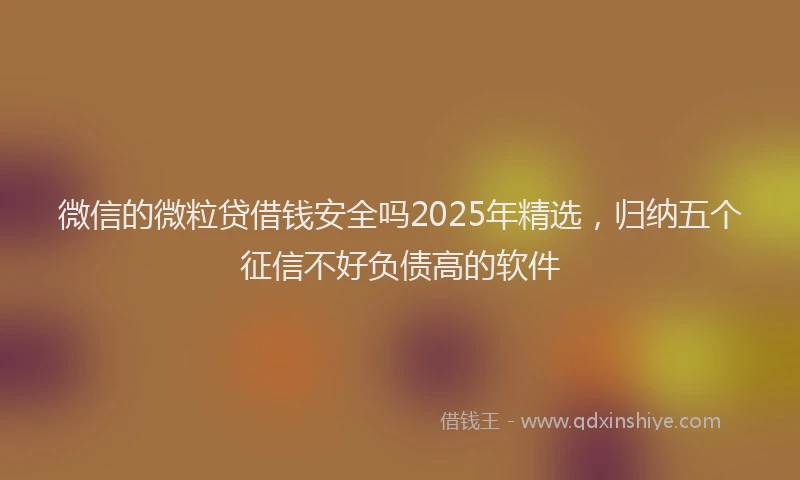 微信的微粒贷借钱安全吗2025年精选，归纳五个征信不好负债高的软件