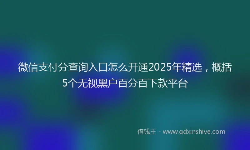 微信支付分查询入口怎么开通2025年精选，概括5个无视黑户百分百下款平台