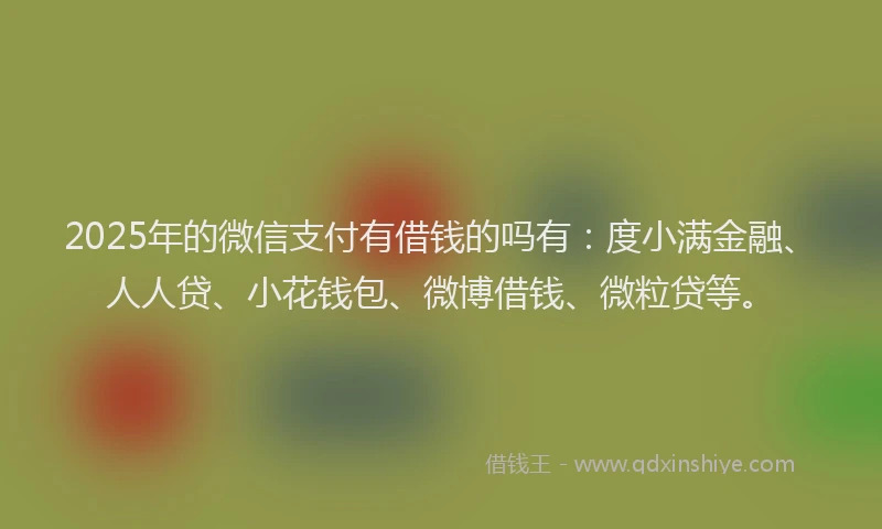 2025年的微信支付有借钱的吗有：度小满金融、人人贷、小花钱包、微博借钱、微粒贷等。