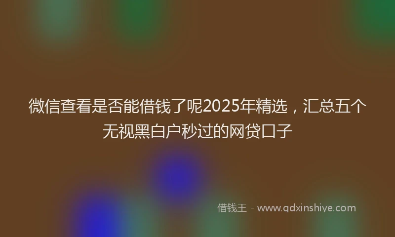 微信查看是否能借钱了呢2025年精选，汇总五个无视黑白户秒过的网贷口子